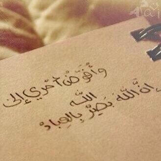 9mtKj53's profile picture. النهاية دائمـاً مؤلمة حتى ولو كانت سعيـدة وذلك فقط لأن اسمها نهاية ،،،.... #الخاص مهمل ..