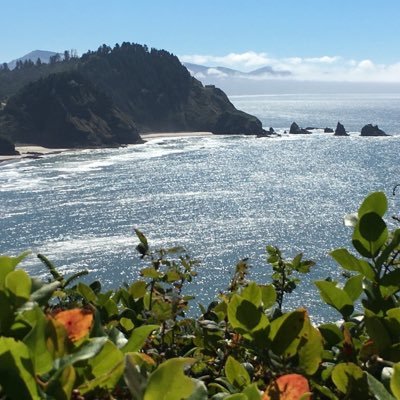 ftcgrs77's profile picture. 