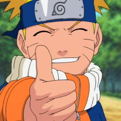 narutoskydiver's profile picture. 