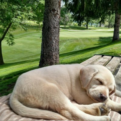 Golf Course Superintendent @ The Bridges in Winona, MN. Avid waterfowl hunter, fisherman, & golfer.