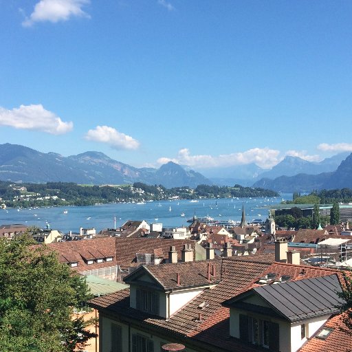 orgreweber's profile picture. French Teacher, World Explorer