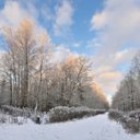 Kylie Davies - @kyliedavies2051 - Twitter