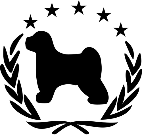 Tibet Terrier of Dog´s Wisdom - Tibet Terrier Hobby-Zucht seit 1997 - Very limited & selective Tibetan Terrier Breeding since 1997