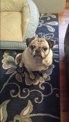 CZellem's profile picture. brought to you by coffee and books