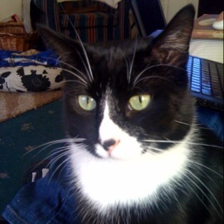 Chironne's profile picture. 