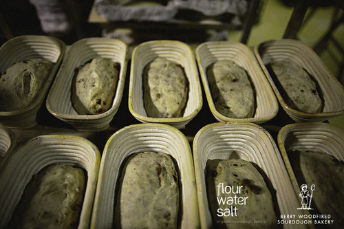 flour water salt Profile