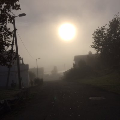 followforShout0's profile picture. Hi follow me for shoutouts! I will be picking random people that follows me and  i am going to give a shoutout to them  just follow me 😁