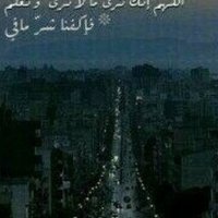 قحبه من جامعة إب (@stepkegiselle) 's Twitter Profile