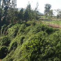 Pearl Tours Uganda (@pearltours22) 's Twitter Profile