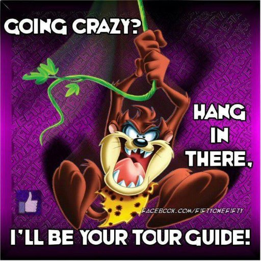 yogeynbooboo's profile picture. 