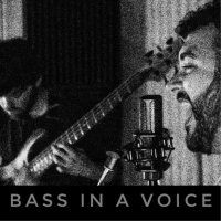 Bass in a Voice (@bassinavoice) 's Twitter Profile