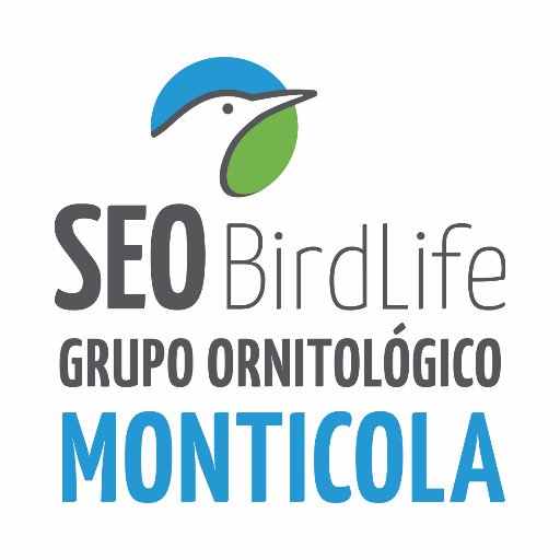 El Grupo Ornitológico SEO-Monticola es un grupo local de SEO/BirdLife @SEO_BirdLife y asociación de estudiantes de la Universidad Autónoma de Madrid.