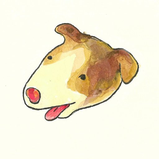 さえこみずもさんのプロフィール画像