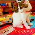 さゆりん🦀🐰(=^ェ^=)🐼👘 (@whitelily0730) Twitter profile photo さゆりん🦀🐰(=^ェ^=)🐼👘 (@whitelily0730) Twitter profile photo