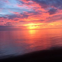 MaryM (@mmurnaghan) 's Twitter Profile