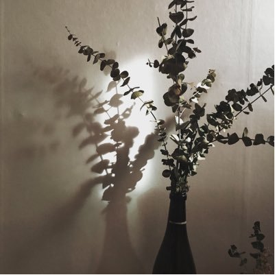 hiiamanne's profile picture. ?