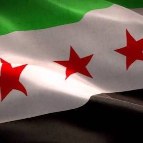 معارض سياسي سوري