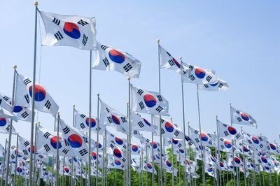 8zVoOby3cppcTUb's profile picture. 한태종합상