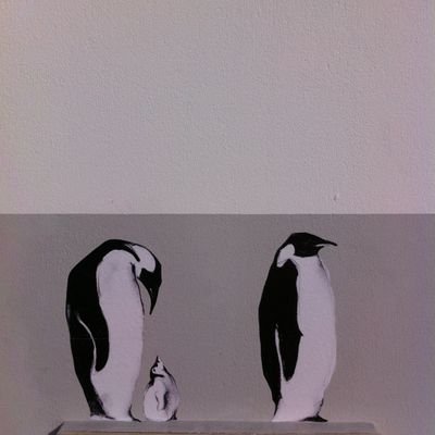 v_i_n_100's profile picture. 