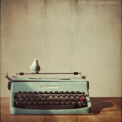 birdiesarah's profile picture. Just a librarian who likes: words, old time music, animals, storytelling and is always on the search for the best small dinner party ever.