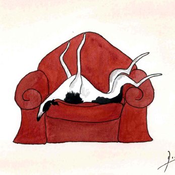 Dianne_Heap's profile picture. Artist: https://t.co/EbuTogdi9Z