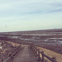 Mark Pajarillo (@markpajarillo4) 's Twitter Profile