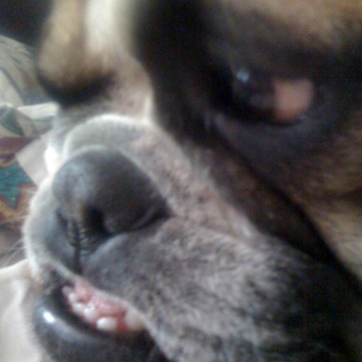 CNNDaveAlsup's profile picture. National Desk Supervising Editor.  Social media free-rider; taking more than I give here.