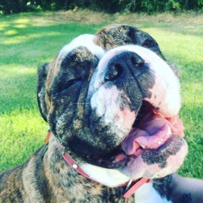 gube1313's profile picture. 