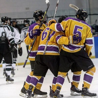 The offical twitter account of the University at Albany Mens Hockey Team.                 https://t.co/hlMYtH0i5L