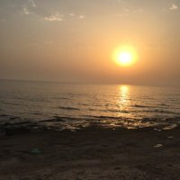 المتابع (@motabe_7) Twitter profile photo