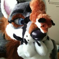 Fox Breath (@rocyofox) 's Twitter Profile Photo