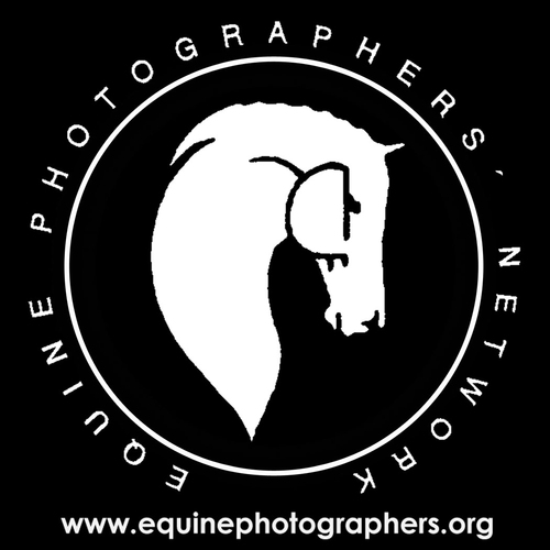 Connecting equine photographers around the world
