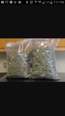 yourlocalcop's profile picture. am not a cop. hmu if you need