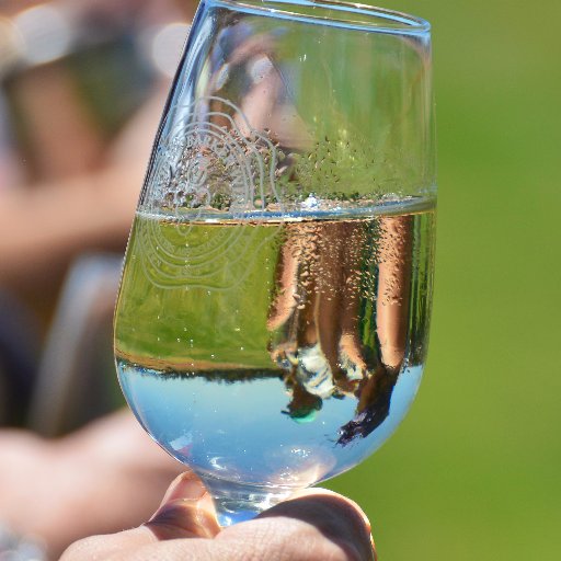 GrapesnGallops's profile picture. Where equine meets wine...a great day out of regional food, wines and country horse racing.