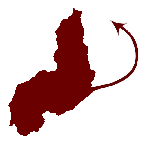 curdiacho's profile picture. Notícias e fuleiragens de Teresina e do Piauí.