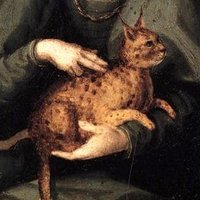 beth moreau @morosophe@scholar.social (@morosophe_) 's Twitter Profile Photo