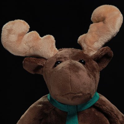 Sam_theGardener's profile picture. Executive at Elite Civic Technologies; Master Gardener