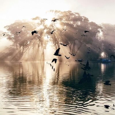 Mansoor_Harthi's profile picture. ‏‏‏‏رب اجعل هـذا البلد آمنًا واجنبني وبني أن نعبد الأصنام                                                                              سلطنة عُمان