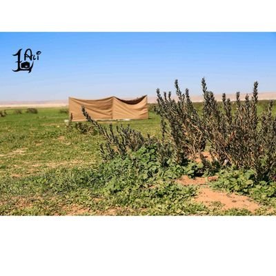 ‏اخبار المحافظة وضواحيها،،،الجديد هنا