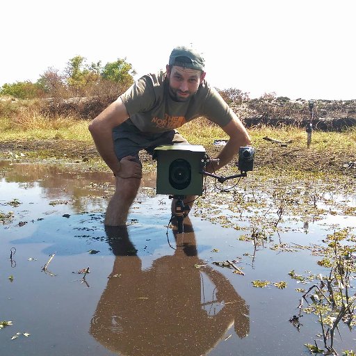 camera_trap's profile picture. A camera trap automatically takes a photo when an animal passes in front of it. Camera traps are perfect for photographing nocturnal and elusive wildlife.