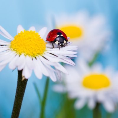 Katyusha_spb's profile picture. #легкость #язамир #любовь #движение #ЛадаРусь #радость #справедливость #Солнце #улыбки #позитив #свобода #друзья #творчество #развитие #политика