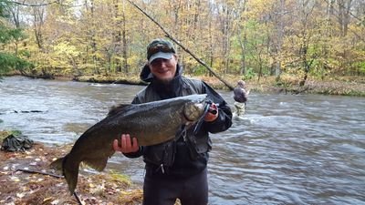 167Maverick's profile picture. 