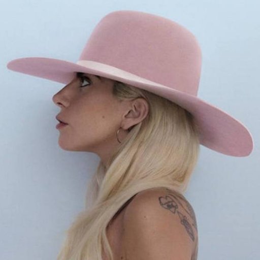 I am a Little Monster! @ladygaga is my life! I love them!! @emma_badgirl is my baby! My good friend on twitter is @Born_The_Brave_