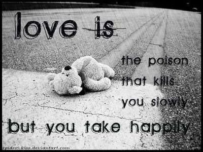 100% Follow back