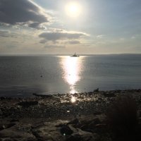 Robert DiMuccio (@robertdimuccio1) 's Twitter Profile