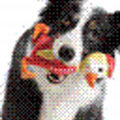 ICOD_Catalog's profile image