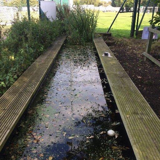 Conservation Club at The Willows is dedicated to preserving and maintaining our school nature area and attracting new wildlife.