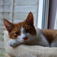 Esther (@estherl32) 's Twitter Profile