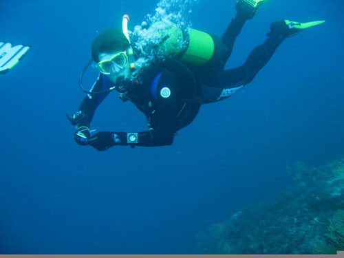 Scuba DiveMaster and Tech Lead / Software Architect for Cloudy Solutions. Currently in love with Groovy/Grails & I m a big fan of the North Melbourne Kangaroos!