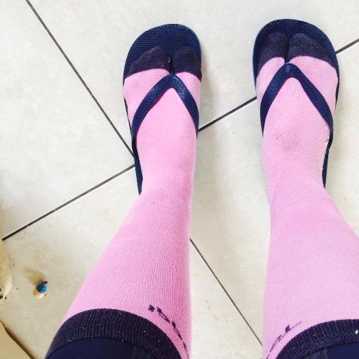4leggedhuman's profile picture. If I were a shoe I would be a pair of flip flops with socks                                    Sharing stories and thoughts